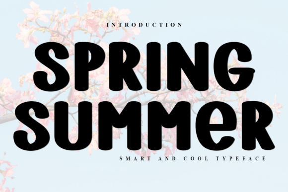 Spring Summer Font: A Festive Typeface for Business Branding